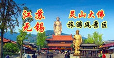 操屄洞图片江苏无锡灵山大佛旅游风景区